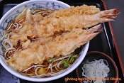 web tempura soba